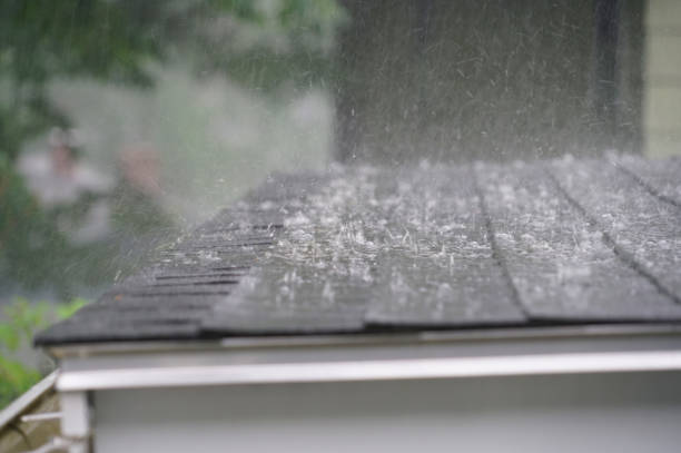 Best Asphalt Shingle Roofing  in Chester, SC