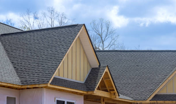 Best Roof Moss and Algae Removal  in Chester, SC