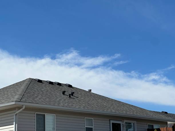 Best Roof Maintenance and Cleaning  in Chester, SC